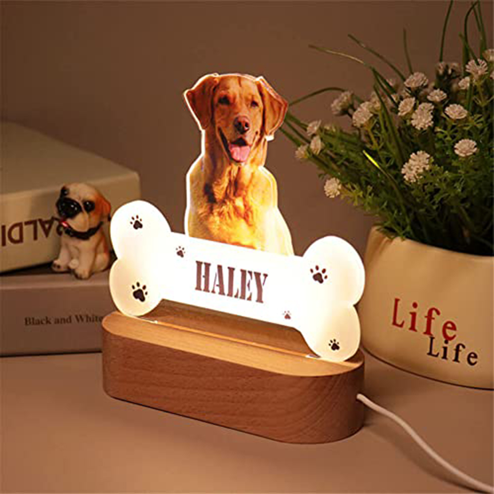 Acrylic Pet Growth Memory Nigh - đánh giá và giá Lighting Decor Photos
