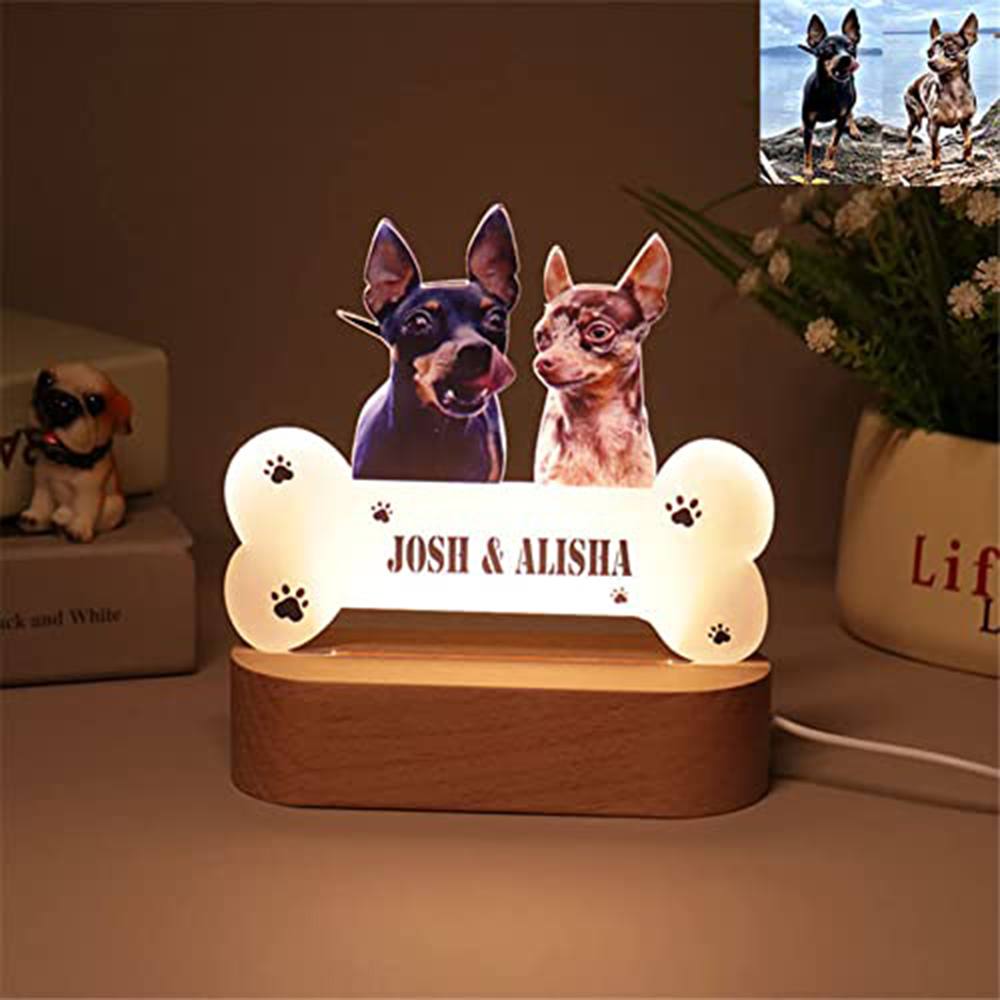 Acrylic Pet Growth Memory Nigh - đánh giá và giá Lighting Decor Photos